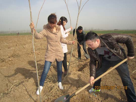 積極行動植樹造林